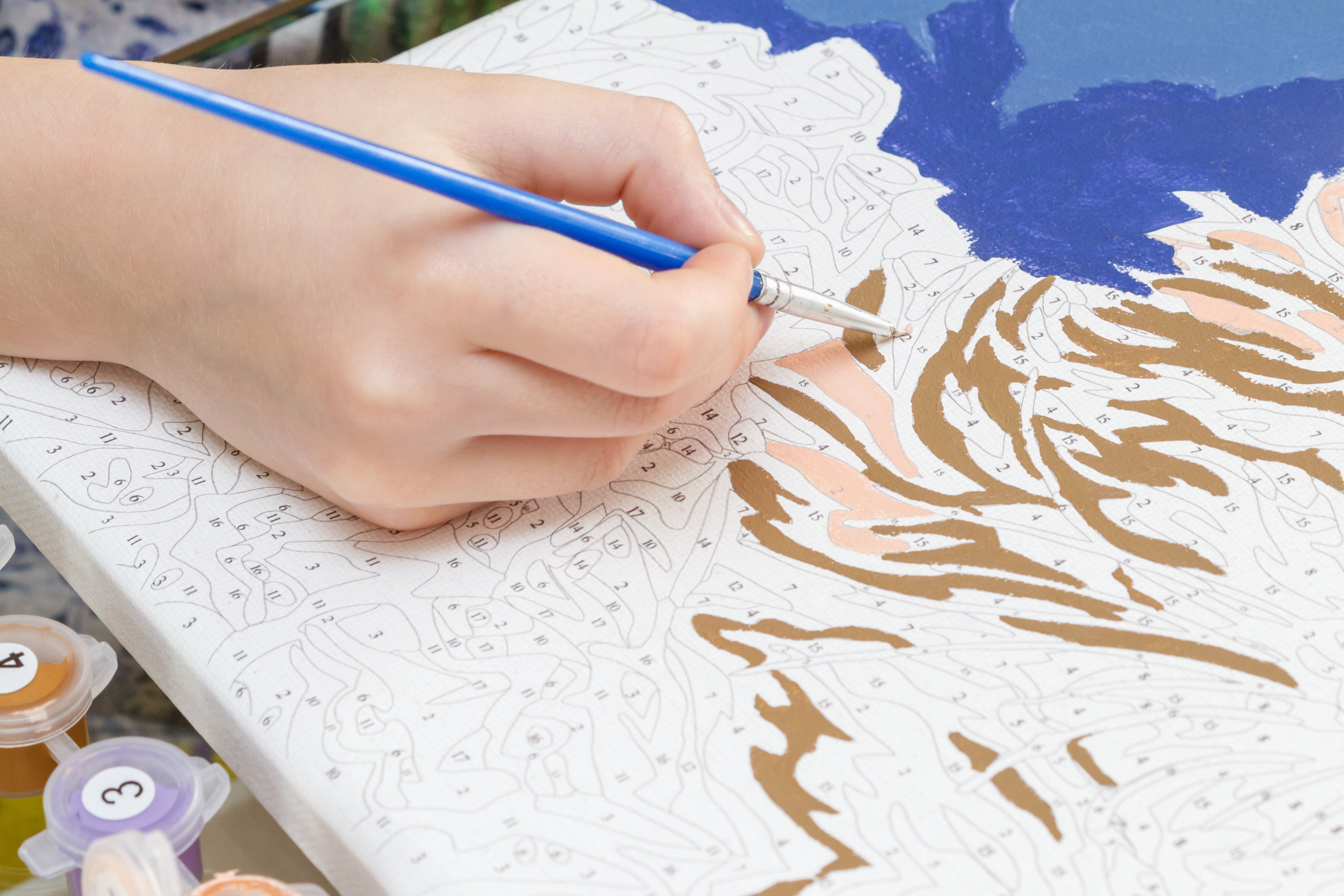 Some Tips To Make Your Paint By Numbers Look Better some-tips-to-make-your-paint-by-numbers-look-better