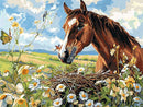 Chestnut Horse & Wildflower Meadow