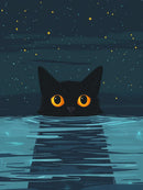 Starry Gaze Black Cat