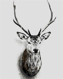 A Black Deer Paint By Numbers Kit