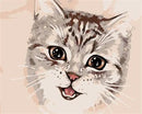 A Cat Face Paint By Numbers Kit