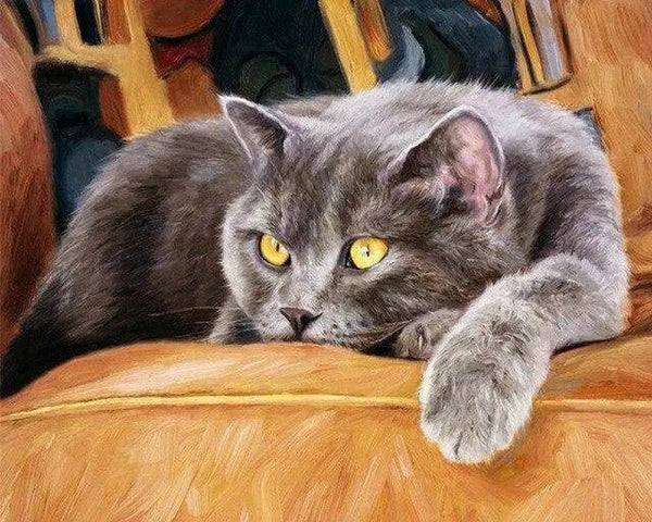 A Cat On A Chair Paint By Numbers Kit