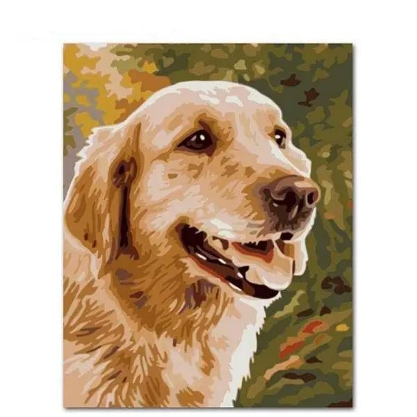 A Dog Posing Paint By Numbers Kit