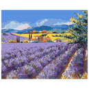 A Meadow Paint By Numbers Kit