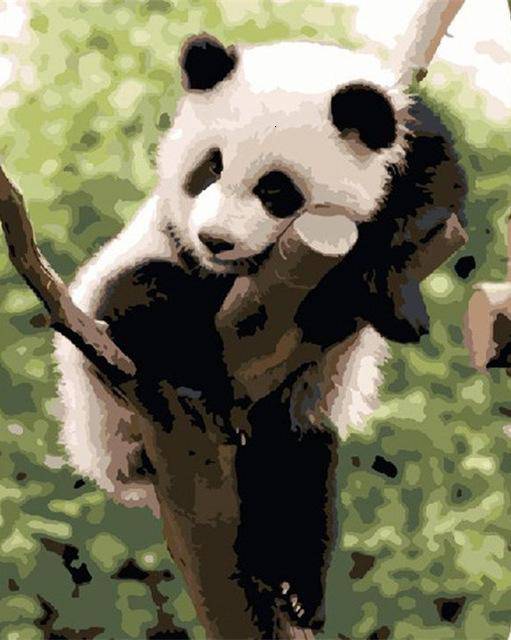 A Panda At Rest Paint By Numbers Kit