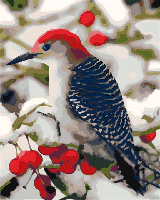 A Red Head Bird Paint By Numbers Kit