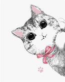 Adore Me Cat Paint By Numbers Kit