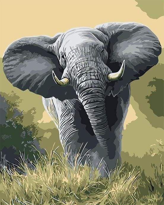 African Elephant Paint By Numbers Kit