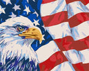 American Eagle Paint By Numbers Kit