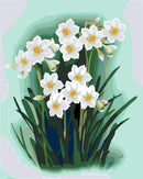 Beautiful Grass Flower Paint By Numbers Kit