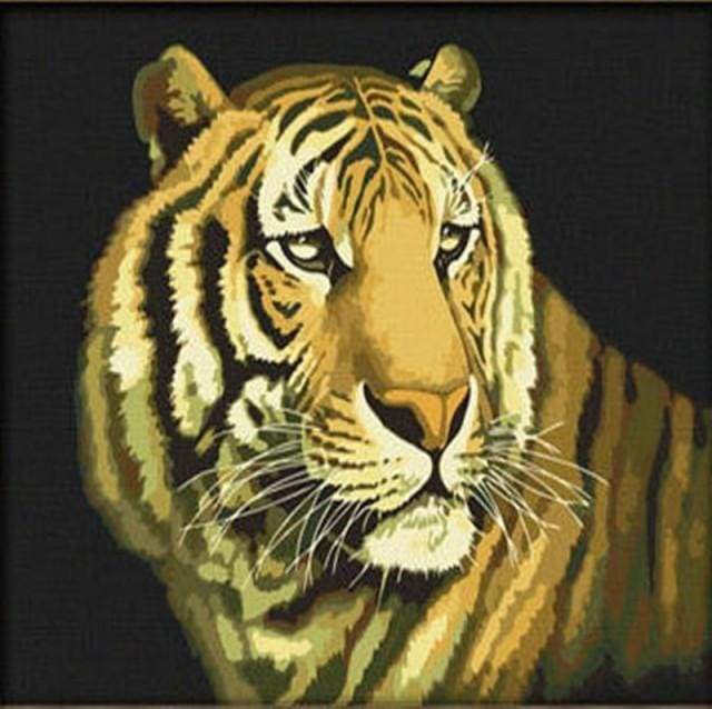 Bengal Tiger Paint By Numbers Kit
