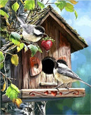 Bird House Paint By Numbers Kit