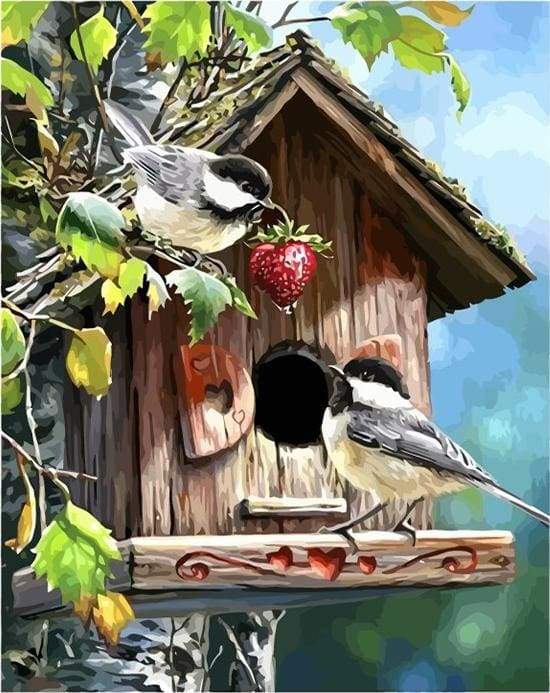 Bird House Paint By Numbers Kit