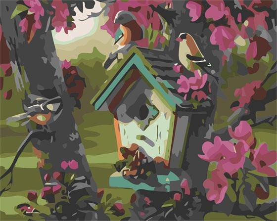 Birds House Paint By Numbers Kit