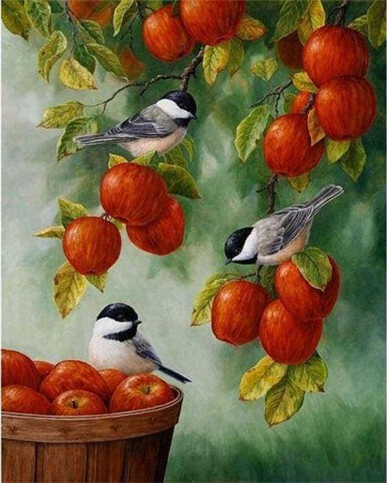 Birds On Red Apples Paint By Numbers Kit