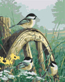 Birds on Wheel Paint By Numbers Kit