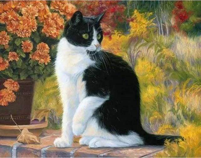 Black and White Cat Paint By Numbers Kit