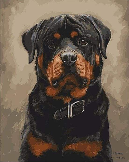 Black dog Paint By Numbers Kit