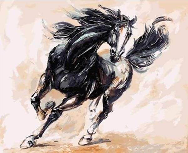 Black Horse Paint By Numbers Kit