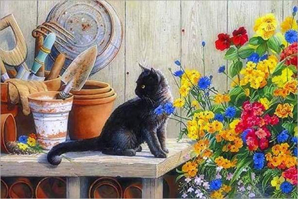 Black Kitten In The Garden Paint By Numbers Kit