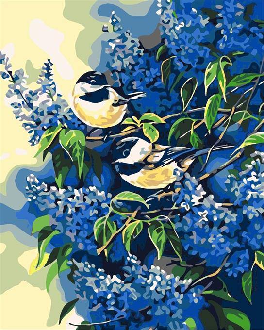 Blue Birds Paint By Numbers Kit
