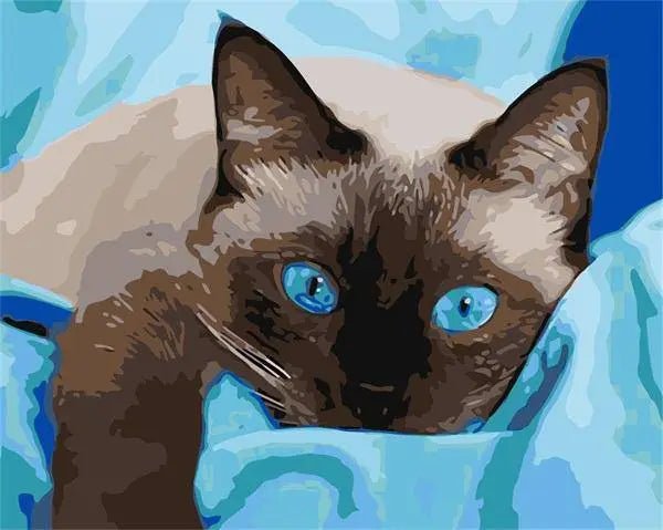Blue Eyed Cat Lying Paint By Numbers Kit