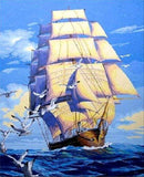 Boat and Seagulls Paint By Numbers Kit