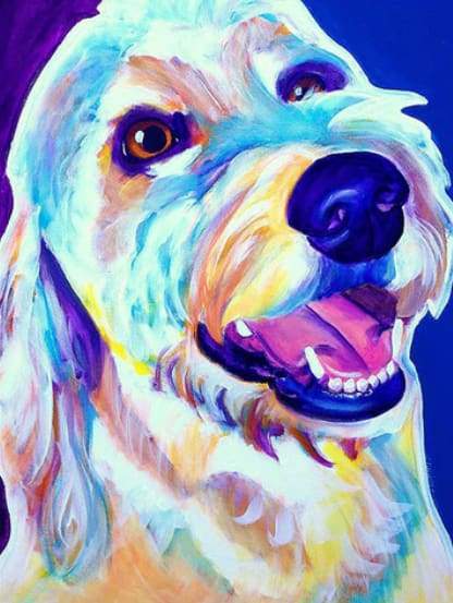 Bright Dog Paint By Numbers Kit