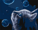 Bubbles and Cat Paint By Numbers Kit