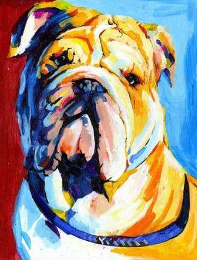 Bulldog Paint By Numbers Kit