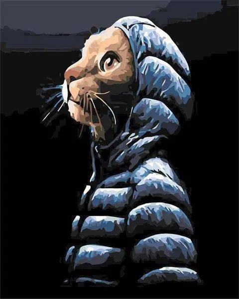 Cat Wearing Jacket Paint By Numbers Kit