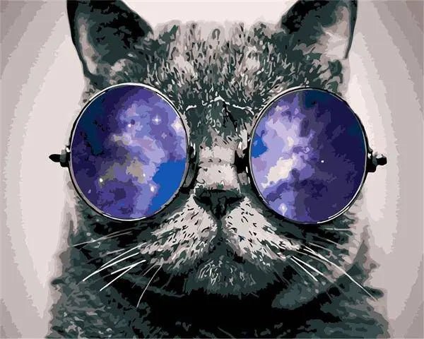 Cat With Sunglass Paint By Numbers Kit