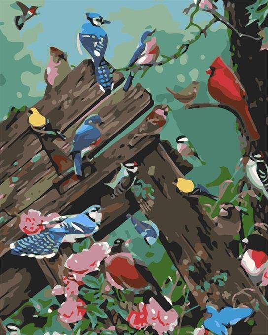 Colorful Birds party Paint By Numbers Kit