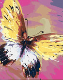 Colorful Butterfly Paint By Numbers Kit