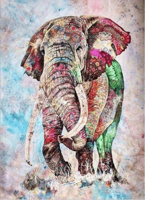 Colorful Elephant Paint By Numbers Kit