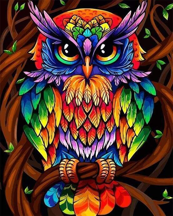Colorful Owl Paint By Numbers Kit