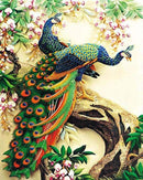 Couple of Peacocks Paint By Numbers Kit
