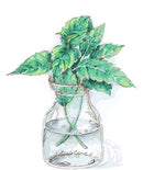 Cut Flowers Paint By Numbers Kit