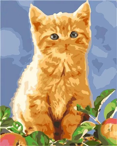 Cute Golden Cat Paint By Numbers Kit