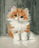 Cute Little Cat Paint By Numbers Kit