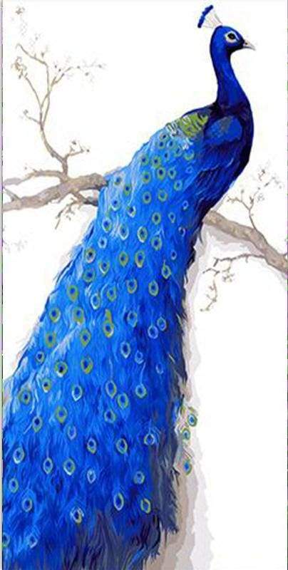 Deep Blue Peacock Paint By Numbers Kit