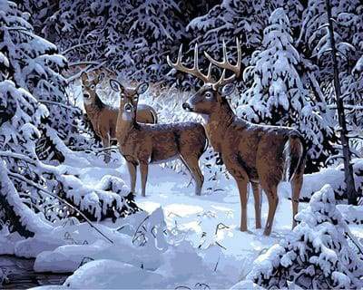 Deer in the Snow Paint By Numbers Kit