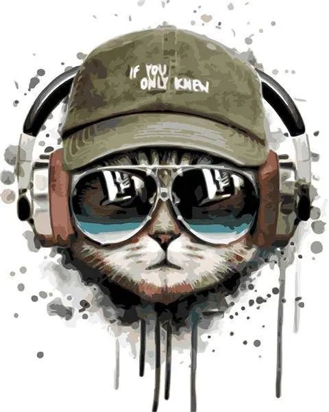 DJ Cat Paint By Numbers Kit