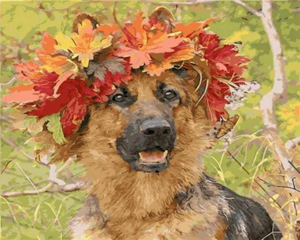 Dog In Autumn Paint By Numbers Kit