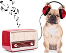 Dog Listening to Music Paint By Numbers Kit
