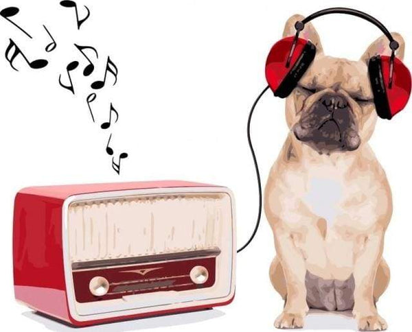 Dog Listening to Music Paint By Numbers Kit