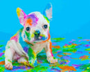 Dog Painting Paint By Numbers Kit