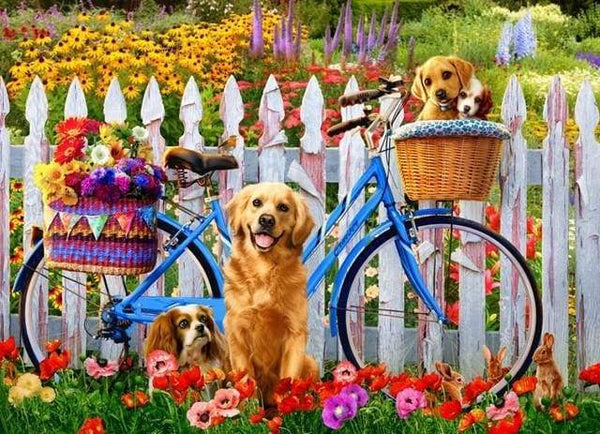 Dogs and Bicycles Paint By Numbers Kit