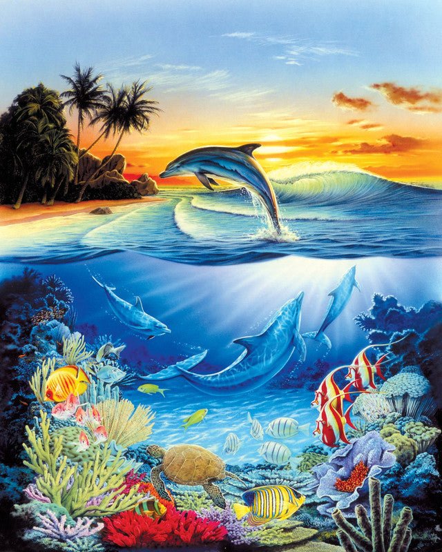 Dolphins in the lagoon Paint By Numbers Kit