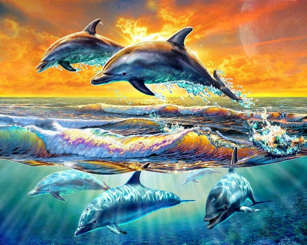 Dolphins Paint By Numbers Kit